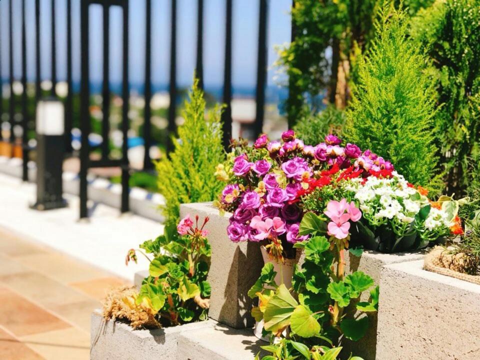 The Luce&House Villa Jeju Bagian luar foto